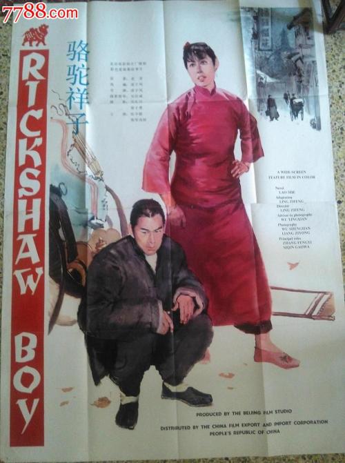 假离婚证